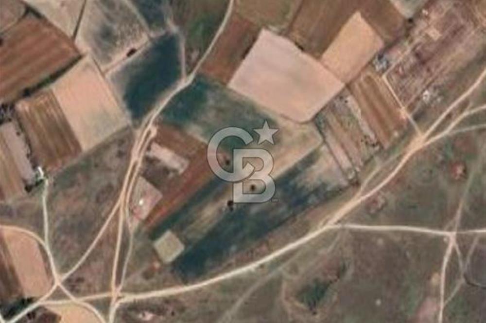 Tekirdağ Çerkezköy  kapaklı Yanıkağıl Satılık Tarla 