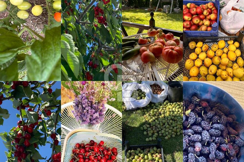 BEYNAM DAĞ ORMAN EVLERİNDE YENİLENMİŞ SATILIK VİLLA