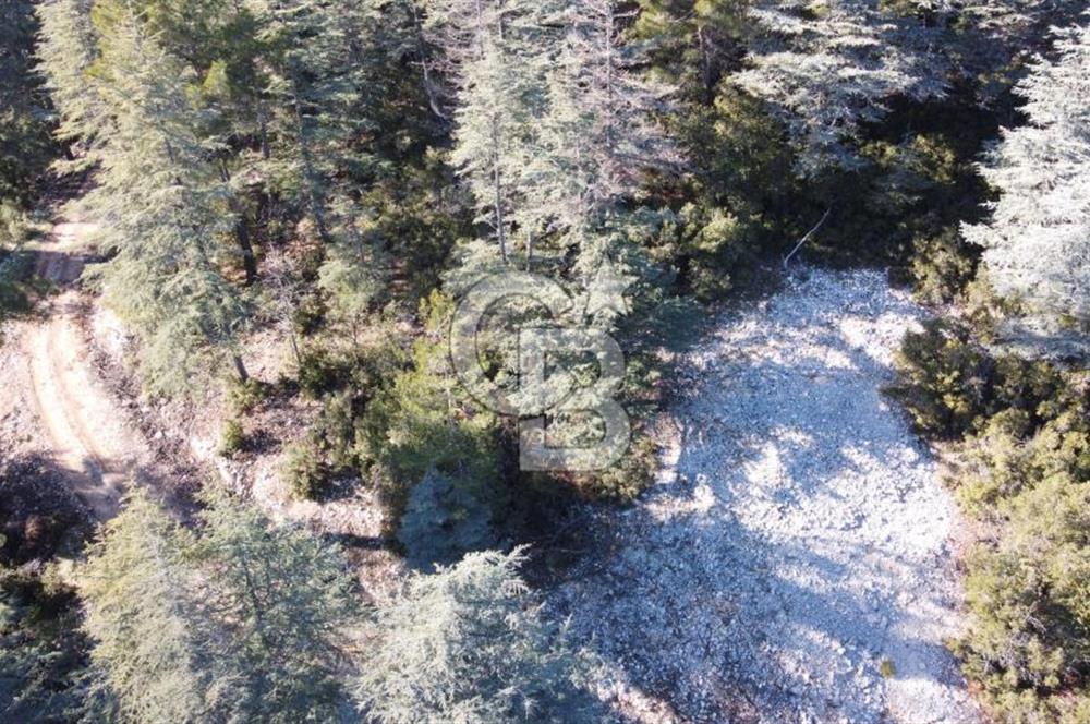 CB GİZDEN KAŞ HACIOĞLANDA SATILIK ARSA