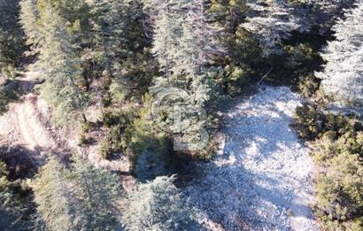 CB GİZDEN KAŞ HACIOĞLANDA SATILIK ARSA