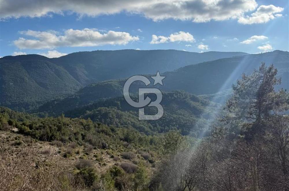 CB GİZDEN KAŞ HACIOĞLANDA SATILIK ARSA