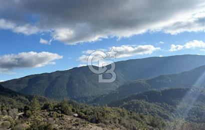 CB GİZDEN KAŞ HACIOĞLANDA SATILIK ARSA