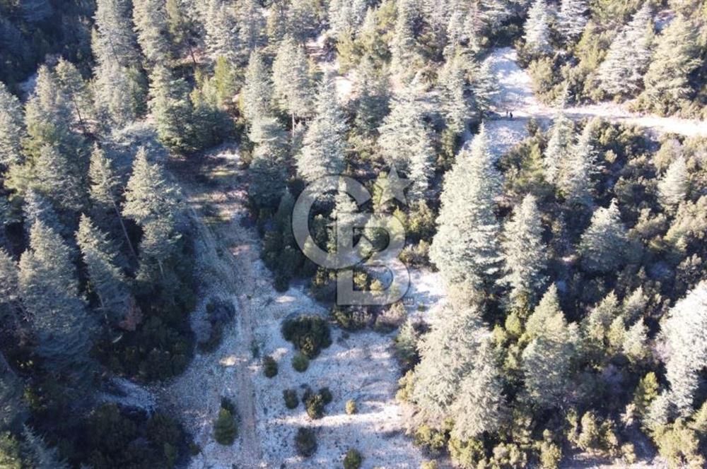 CB GİZDEN KAŞ HACIOĞLANDA SATILIK ARSA