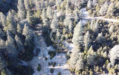 CB GİZDEN KAŞ HACIOĞLANDA SATILIK ARSA