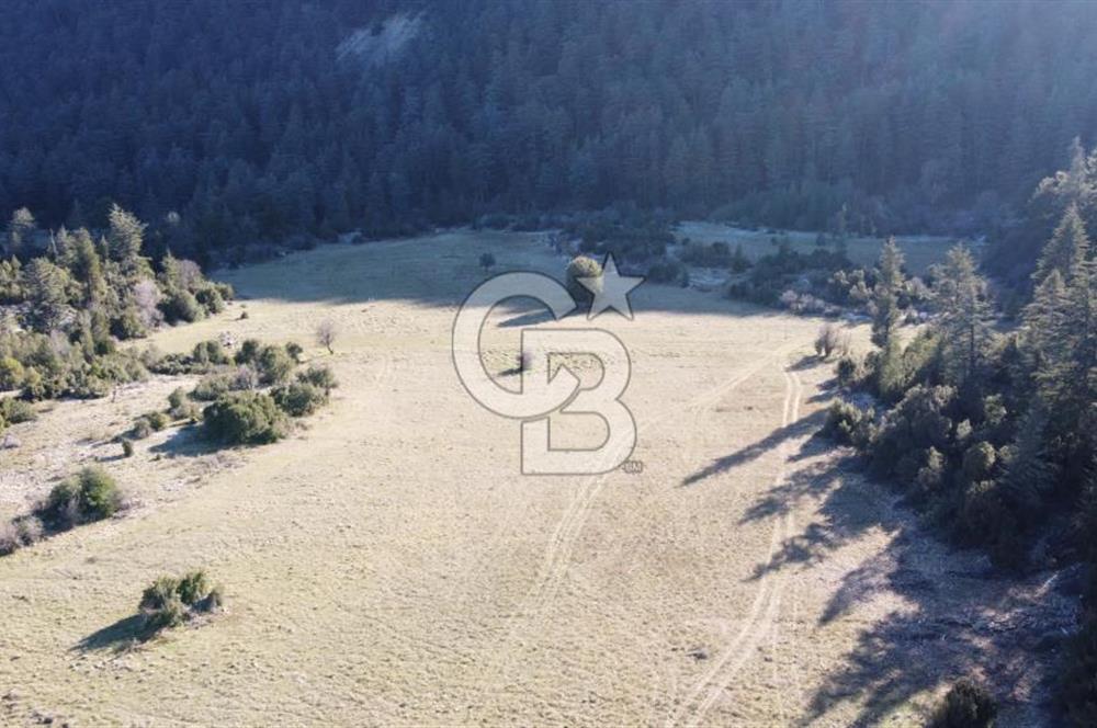 CB GİZDEN KAŞ HACIOĞLANDA SATILIK ARSA