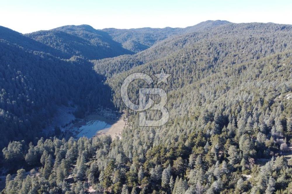 CB GİZDEN KAŞ HACIOĞLANDA SATILIK ARSA