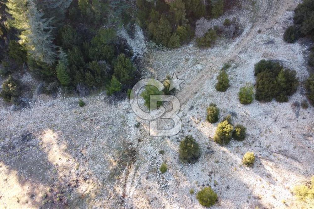 CB GİZDEN KAŞ HACIOĞLANDA SATILIK ARSA