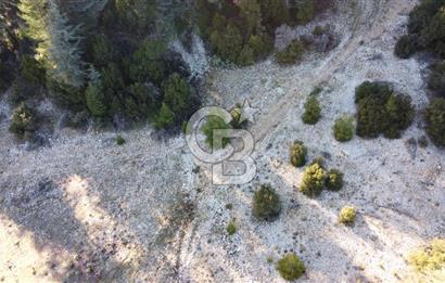 CB GİZDEN KAŞ HACIOĞLANDA SATILIK ARSA