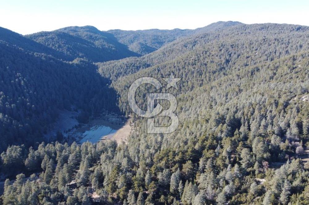 CB GİZDEN KAŞ HACIOĞLANDA SATILIK FIRSAT ARAZİSİ
