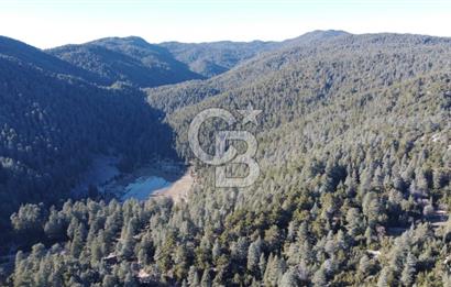 CB GİZDEN KAŞ HACIOĞLANDA SATILIK FIRSAT ARAZİSİ