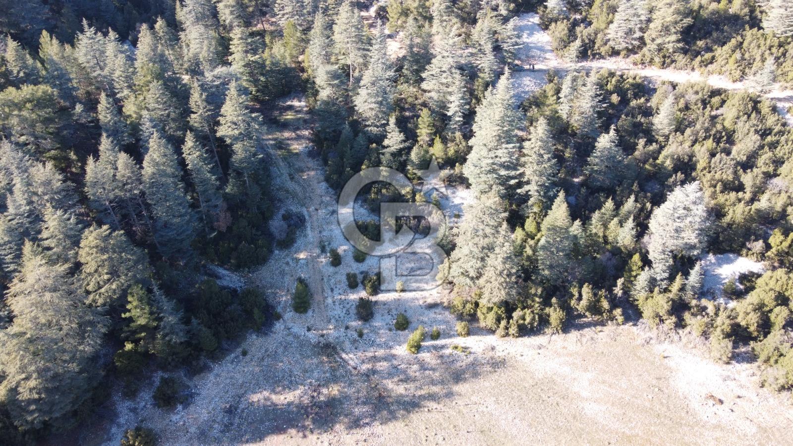 CB GİZDEN KAŞ HACIOĞLANDA SATILIK FIRSAT ARAZİSİ