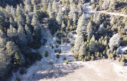 CB GİZDEN KAŞ HACIOĞLANDA SATILIK FIRSAT ARAZİSİ
