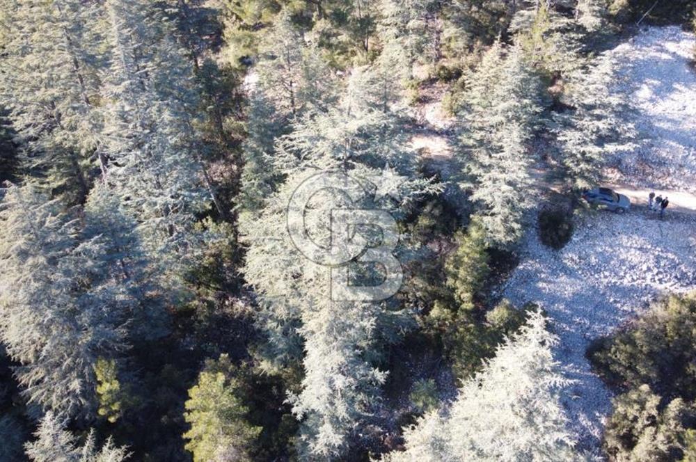 CB GİZDEN KAŞ HACIOĞLANDA SATILIK FIRSAT ARAZİSİ