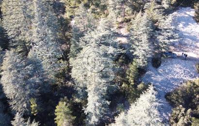 CB GİZDEN KAŞ HACIOĞLANDA SATILIK FIRSAT ARAZİSİ