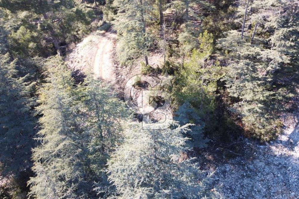 CB GİZDEN KAŞ HACIOĞLANDA SATILIK FIRSAT ARAZİSİ