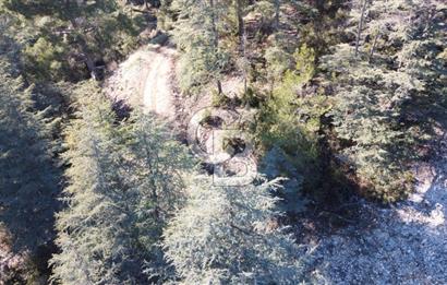 CB GİZDEN KAŞ HACIOĞLANDA SATILIK FIRSAT ARAZİSİ