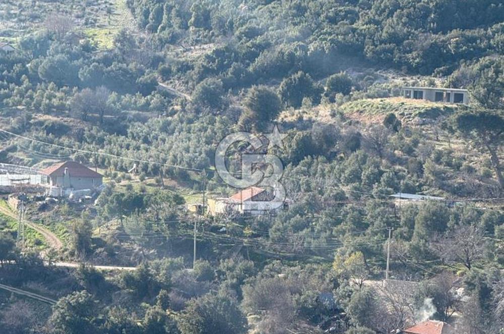 CB GİZDEN KAŞ HACIOĞLANDA SATILIK FIRSAT ARAZİSİ