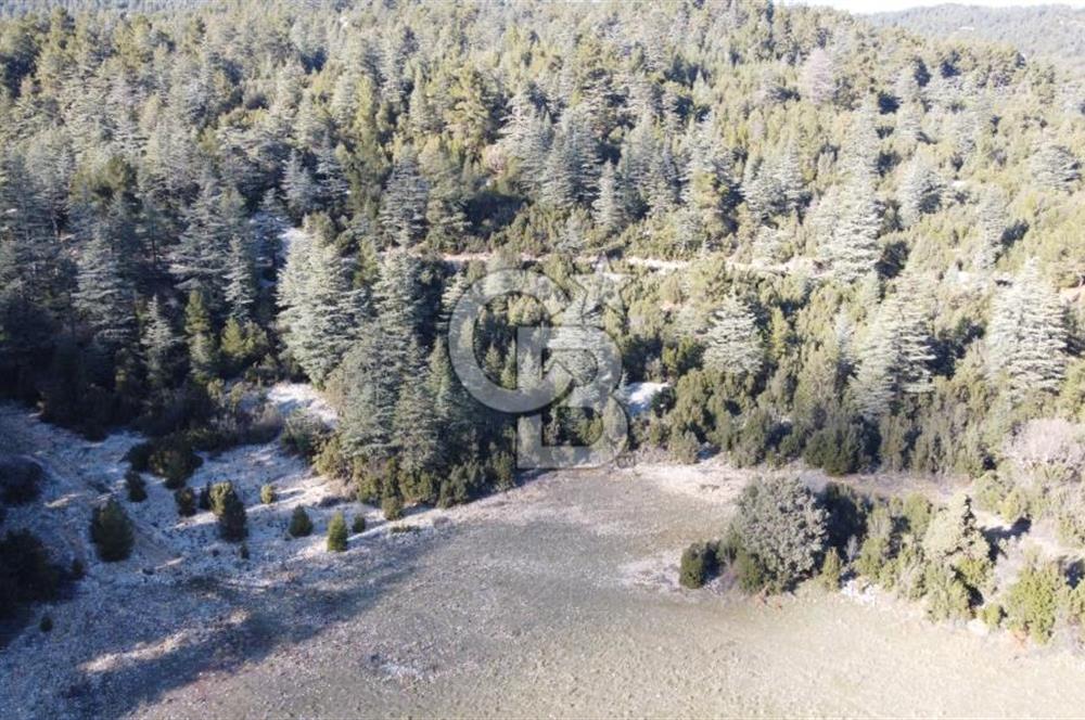 CB GİZDEN KAŞ HACIOĞLANDA SATILIK FIRSAT ARAZİSİ