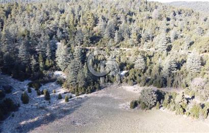 CB GİZDEN KAŞ HACIOĞLANDA SATILIK FIRSAT ARAZİSİ