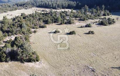 CB GİZDEN KAŞ HACIOĞLANDA SATILIK FIRSAT ARAZİSİ