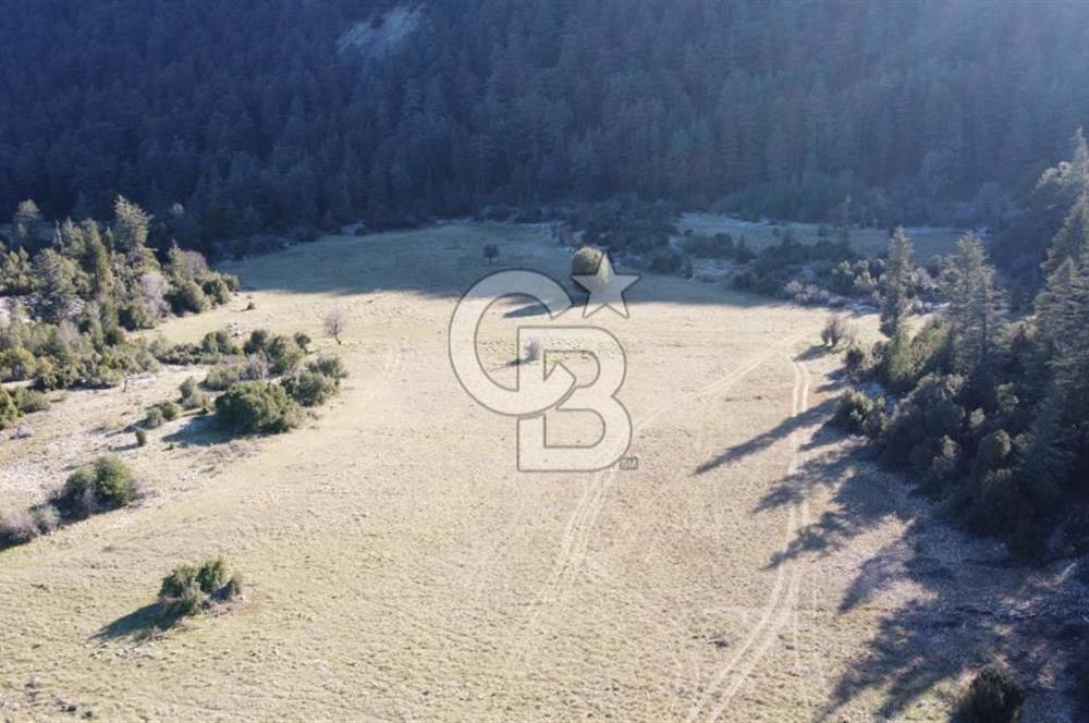 CB GİZDEN KAŞ HACIOĞLANDA SATILIK FIRSAT ARAZİSİ