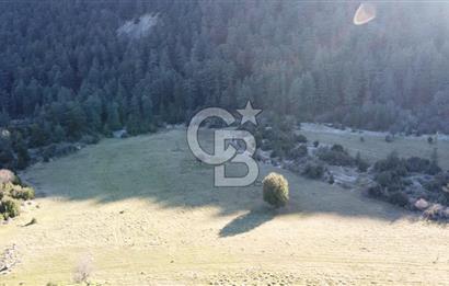 CB GİZDEN KAŞ HACIOĞLANDA SATILIK FIRSAT ARAZİSİ