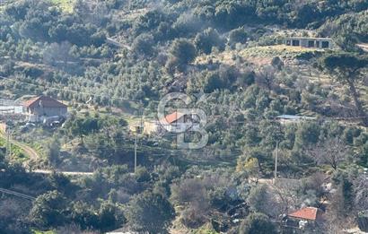 CB GİZDEN KAŞ HACIOĞLANDA SATILIK FIRSAT ARAZİSİ