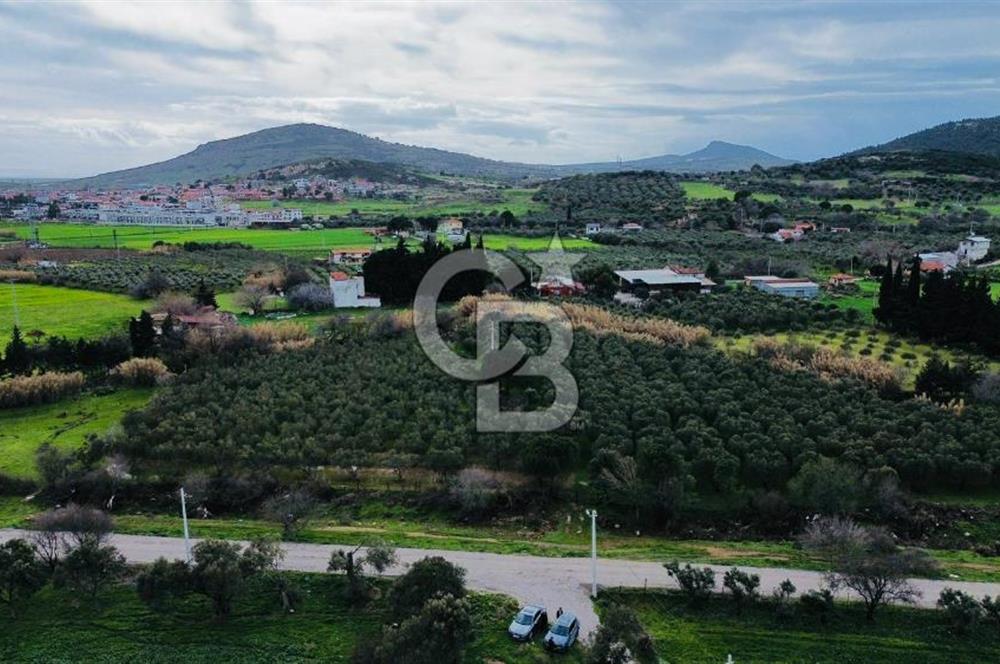 Foça Yenibağarasında Satılık Tarla