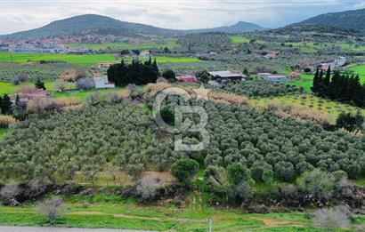 Foça Yenibağarasında Satılık Tarla