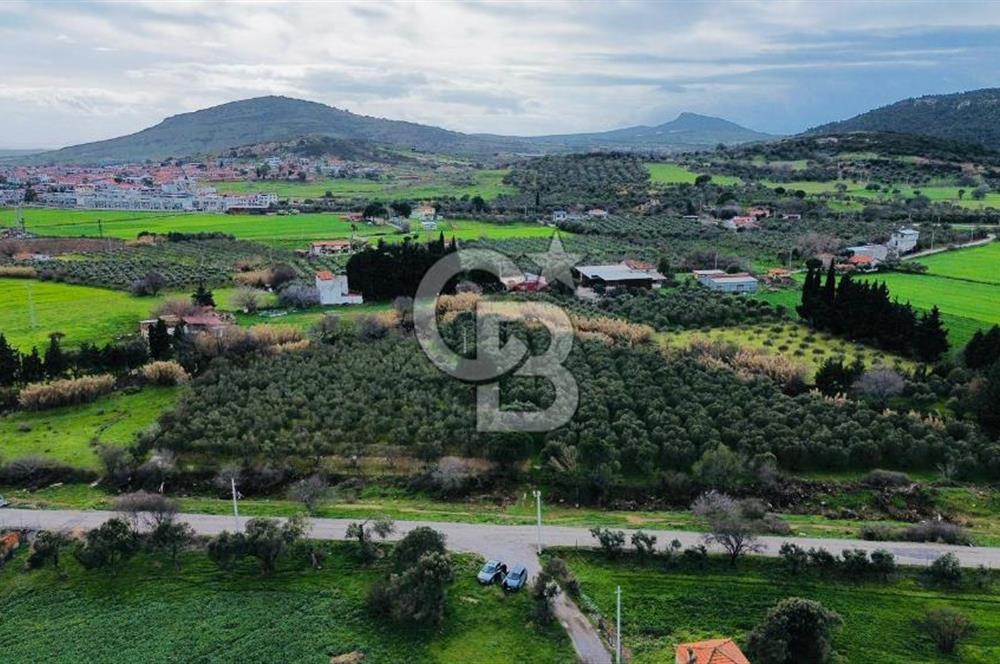 Foça Yenibağarasında Satılık Tarla