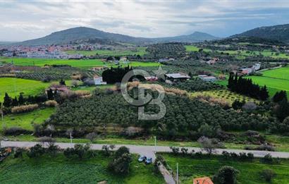 Foça Yenibağarasında Satılık Tarla