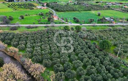 Foça Yenibağarasında Satılık Tarla