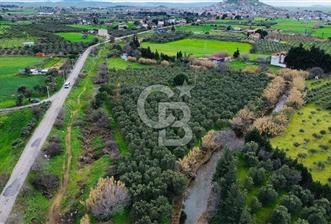 Foça Yenibağarasında Satılık Tarla - 3 - 332370