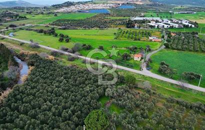 Foça Yenibağarasında Satılık Tarla