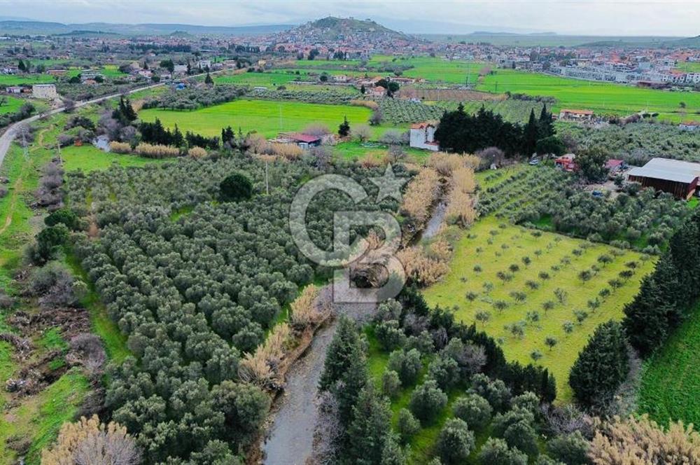 Foça Yenibağarasında Satılık Tarla