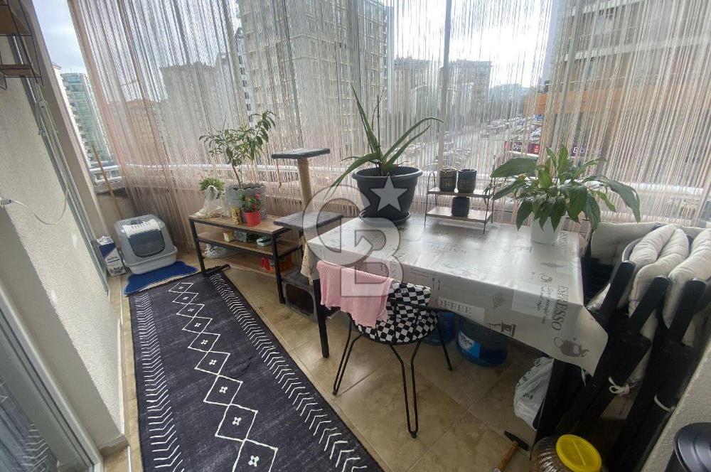 Ayışığı Halting / Eşyalı / Eşyasız / Oturuma Uygun 3,5+1 Satılık