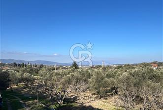 Urla İçmeler'de 225m² Hisseli Tarla - Yatırım Fırsatı - 4 - 332481