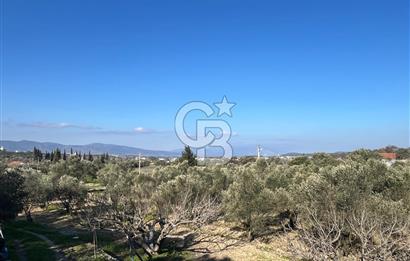 Urla İçmeler'de 225m² Hisseli Tarla - Yatırım Fırsatı