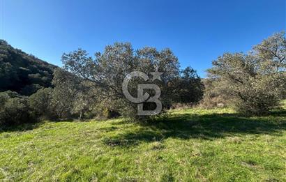 İZMİR BERGAMA ÇOK ACİL İHTİYAÇ NEDENİYLE FIRSAT YATIRIMLIK!