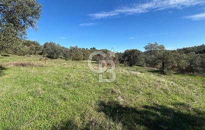İZMİR BERGAMA ÇOK ACİL İHTİYAÇ NEDENİYLE FIRSAT YATIRIMLIK!