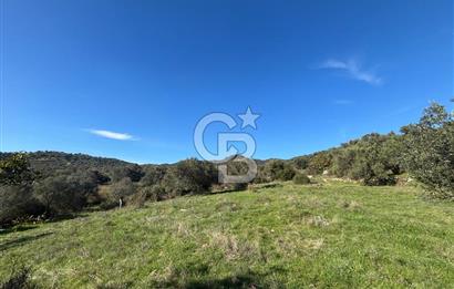 İZMİR BERGAMA ÇOK ACİL İHTİYAÇ NEDENİYLE FIRSAT YATIRIMLIK!