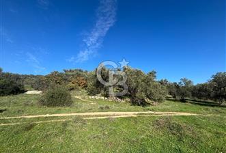 İZMİR BERGAMA ÇOK ACİL İHTİYAÇ NEDENİYLE FIRSAT YATIRIMLIK! - 1 - 332448