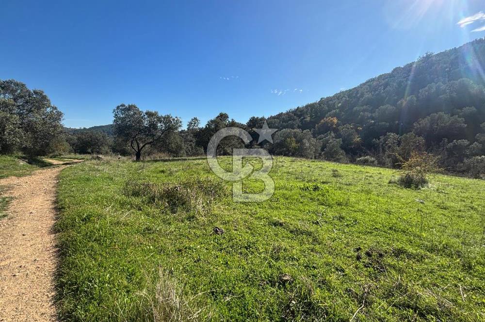 İZMİR BERGAMA ÇOK ACİL İHTİYAÇ NEDENİYLE FIRSAT YATIRIMLIK!