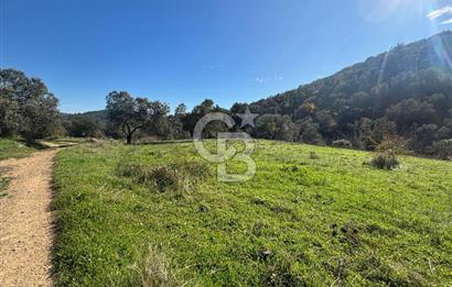 İZMİR BERGAMA ÇOK ACİL İHTİYAÇ NEDENİYLE FIRSAT YATIRIMLIK!