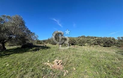 İZMİR BERGAMA ÇOK ACİL İHTİYAÇ NEDENİYLE FIRSAT YATIRIMLIK!