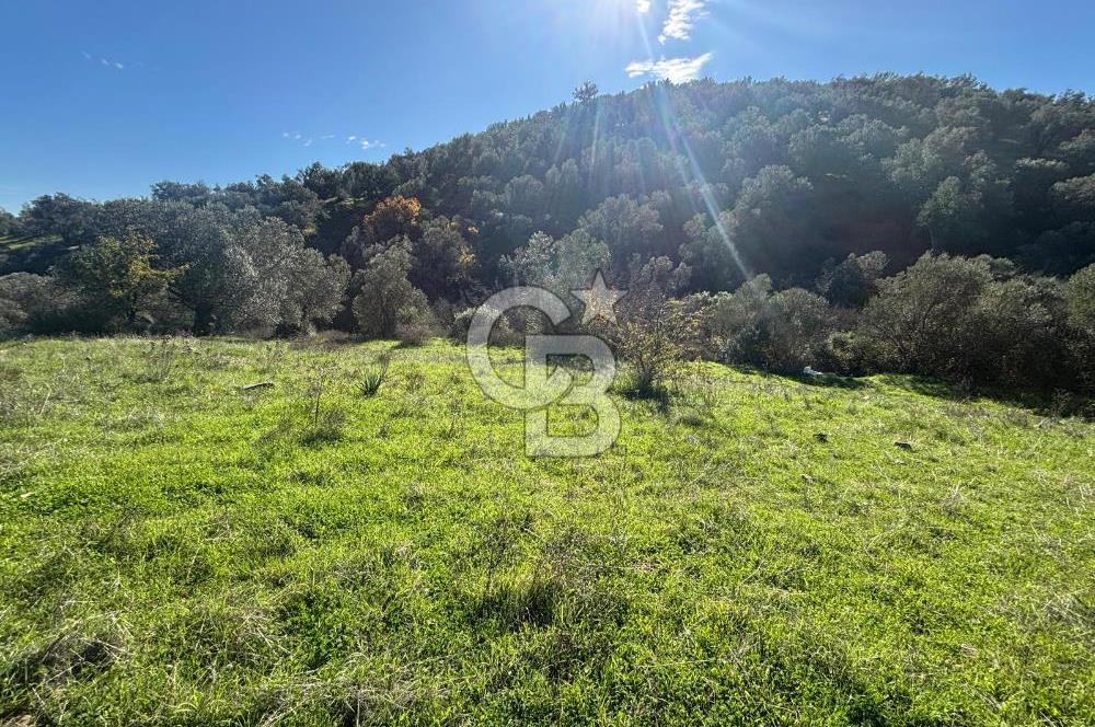 İZMİR BERGAMA ÇOK ACİL İHTİYAÇ NEDENİYLE FIRSAT YATIRIMLIK!