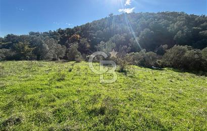 İZMİR BERGAMA ÇOK ACİL İHTİYAÇ NEDENİYLE FIRSAT YATIRIMLIK!