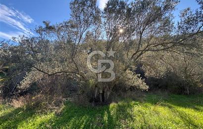 İZMİR BERGAMA ÇOK ACİL İHTİYAÇ NEDENİYLE FIRSAT YATIRIMLIK!