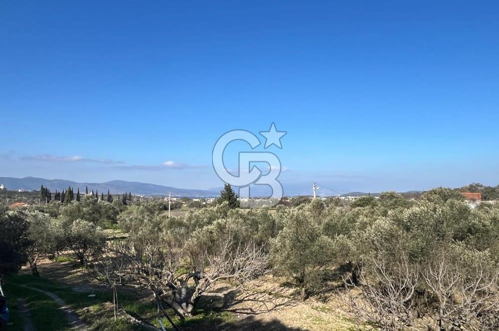 Urla İçmeler'de 225m² Hisseli Tarla - Yatırım Fırsatı