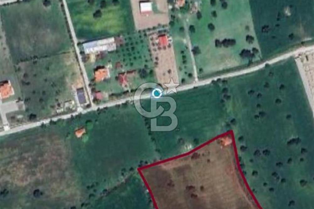 Urla İçmeler'de 225m² Hisseli Tarla - Yatırım Fırsatı